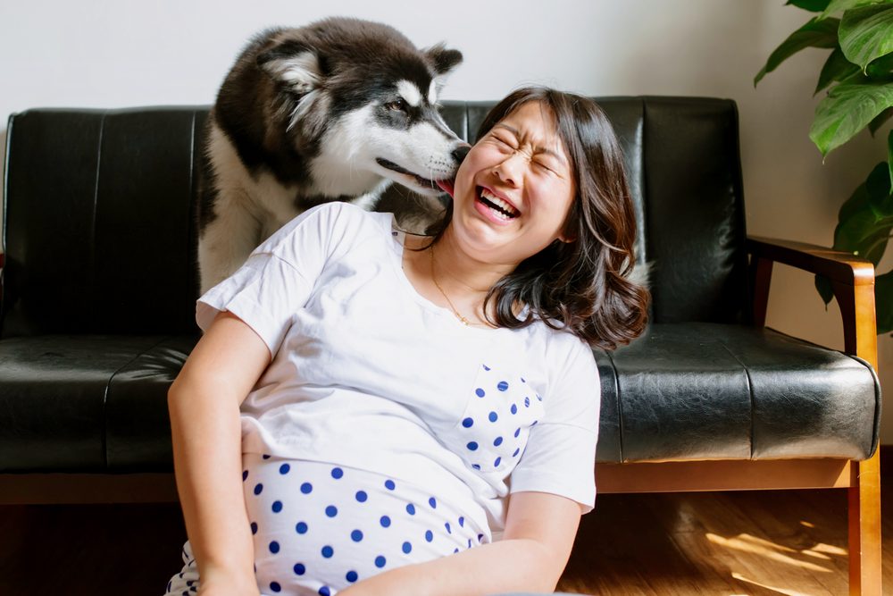 Woman getting licked by a dog and laughing.