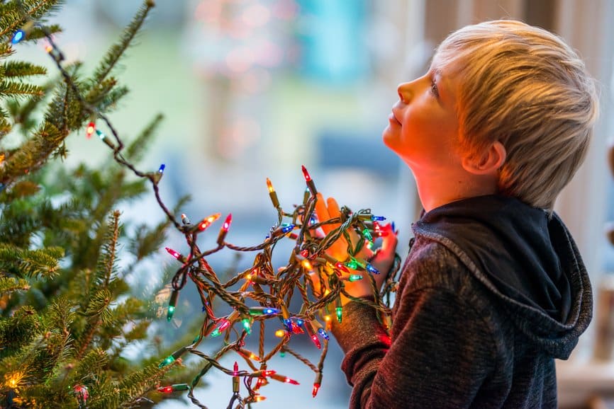 Boy holds tangle of Christmas tree lights while decorating for the holiday