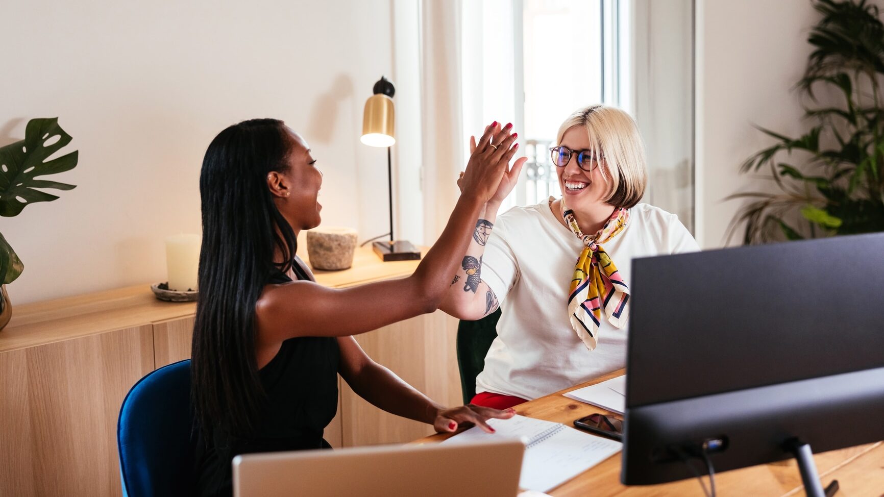 Laughing young curvy blond woman and stylish black female colleague and giving high five. They are looking at each other and celebrating successful business deal while sitting at desk with computer and laptop.